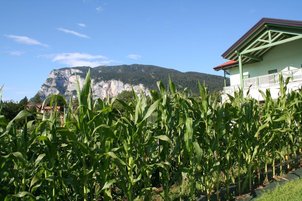 Agriturismo Florandonole 파이델라파가넬라 외부 사진