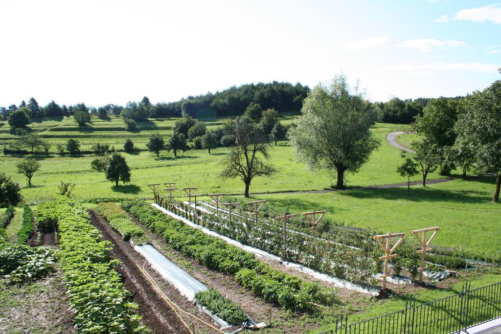 Agriturismo Florandonole 파이델라파가넬라 객실 사진